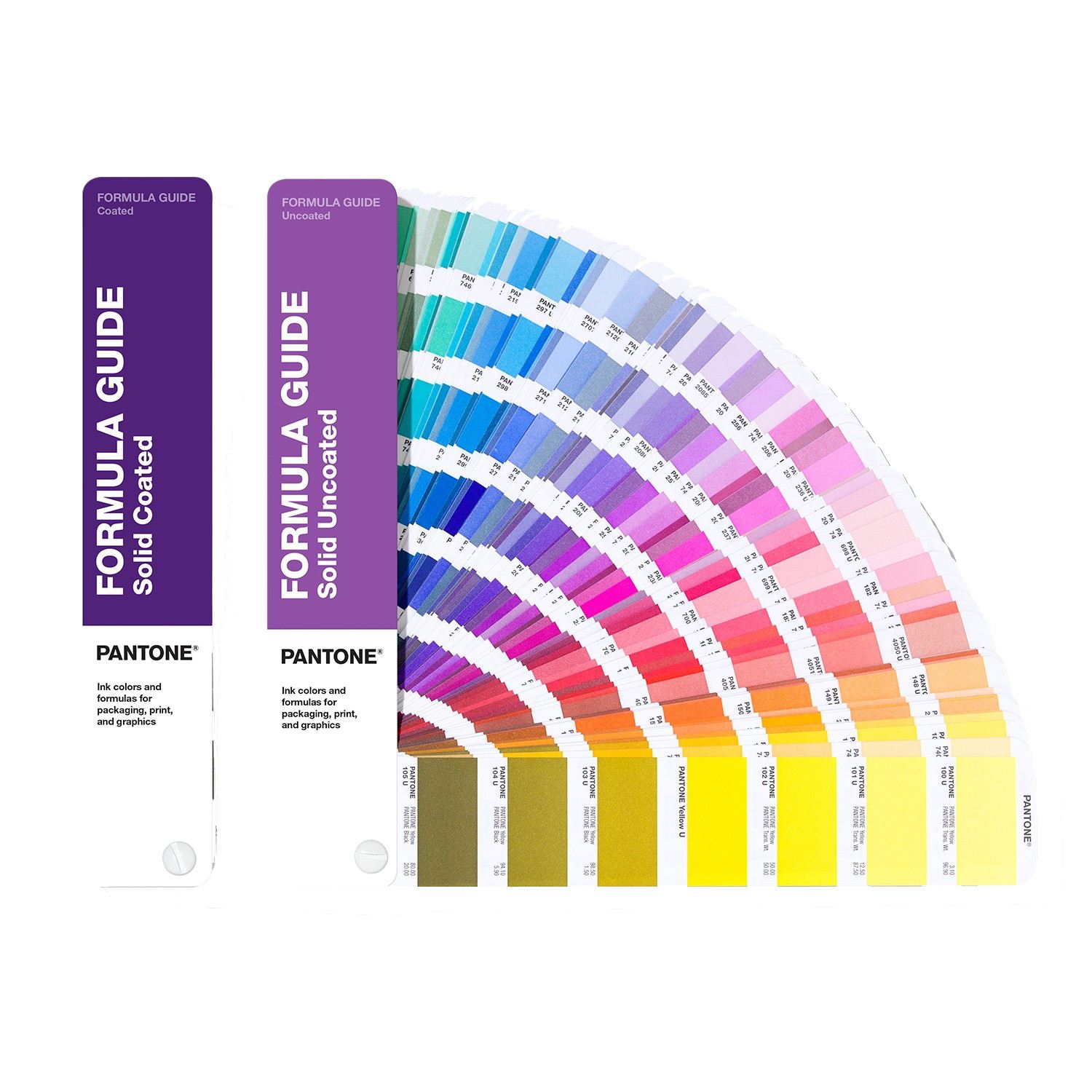 Custom Color Option 1