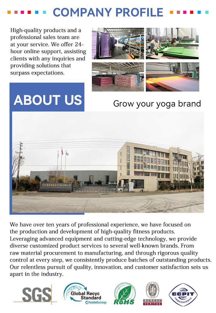 Company Introduction